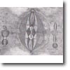 Les Chakras